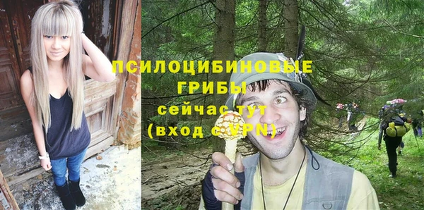 прущая мука Богородск