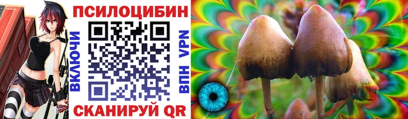 Купить  Сортавала  Галлюциногенные грибы Cubensis 